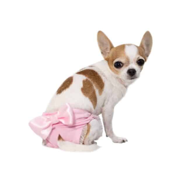 BRAGUITAS Y FAJAS PROTECTORAS